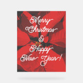 Vrolijk kerstfeest en gelukkig nieuwjaar acryl bord (Voorkant)