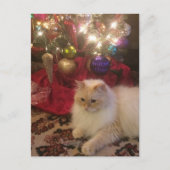 Vrolijk kerstfeest en gelukkig nieuwjaar briefkaart (Voorkant)