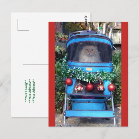 Vrolijk kerstfeest en gelukkig nieuwjaar briefkaart (Voorkant / Achterkant)