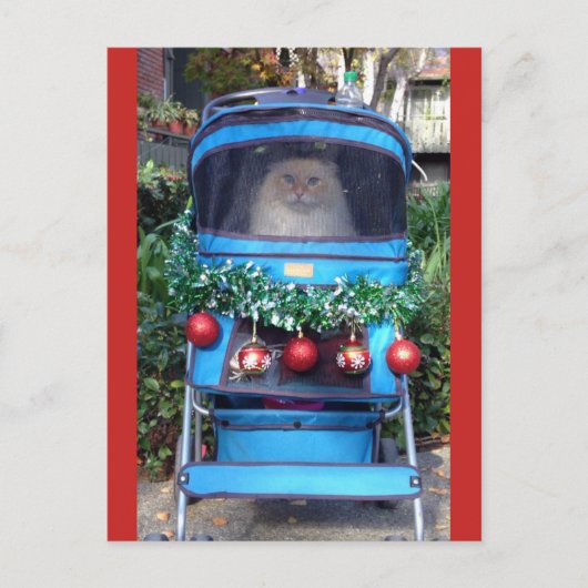 Vrolijk kerstfeest en gelukkig nieuwjaar briefkaart (Voorkant)