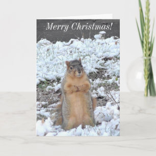 Vrolijk kerstfeest en gelukkig nieuwjaar eekhoorn  kaart