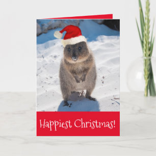 Vrolijk kerstfeest en gelukkig nieuwjaar Quokka Be Kaart