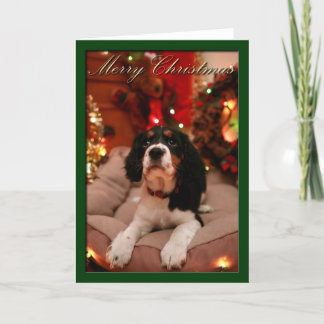Vrolijk Kerstfeest Engelse Springer Spaniel, Sprin Feestdagen Kaart