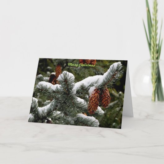 Vrolijk kerstfeest feestdagen kaart (Voorkant)