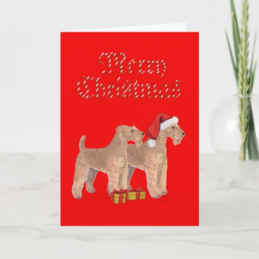 Vrolijk kerstfeest feestdagen kaart (Voorkant)