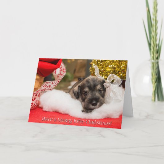 Vrolijk kerstfeest feestdagen kaart (Voorkant)