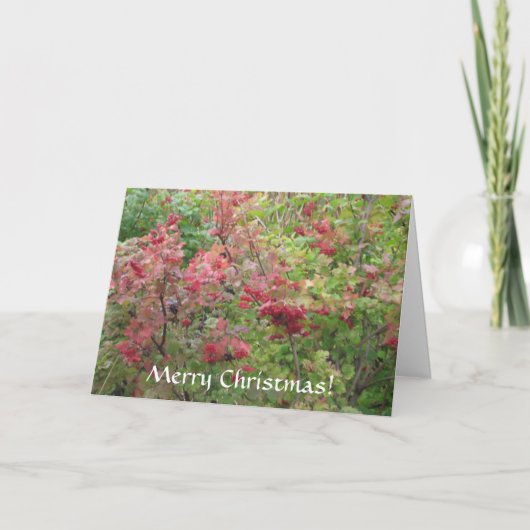 Vrolijk kerstfeest feestdagen kaart (Voorkant)