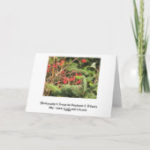 Vrolijk kerstfeest feestdagen kaart (Achterkant)