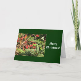 Vrolijk kerstfeest feestdagen kaart