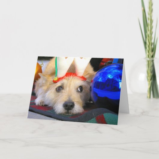 Vrolijk kerstfeest feestdagen kaart (Voorkant)