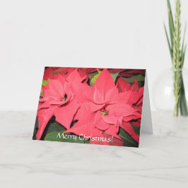 Vrolijk kerstfeest feestdagen kaart
