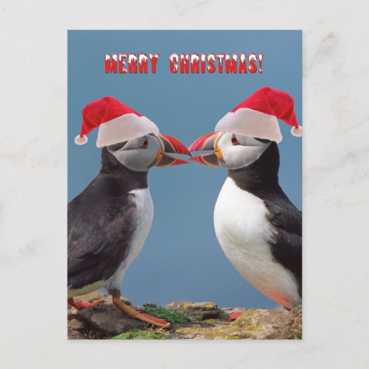 Vrolijk kerstfeest feestdagenkaart (Voorkant)