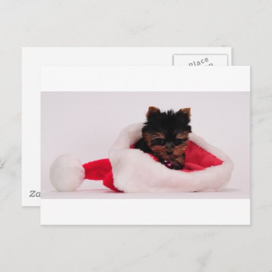 Vrolijk kerstfeest feestdagenkaart (Voorkant / Achterkant)