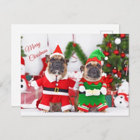 Vrolijk Kerstfeest Franse Bulldogs Santa en Elf Feestdagenkaart (Voorkant / Achterkant)