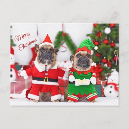 Vrolijk Kerstfeest Franse Bulldogs Santa en Elf Feestdagenkaart (Voorkant)