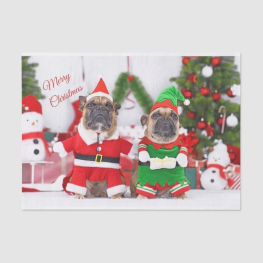Vrolijk Kerstfeest Franse Bulldogs Santa en Elf Tissuepapier (Voorkant)
