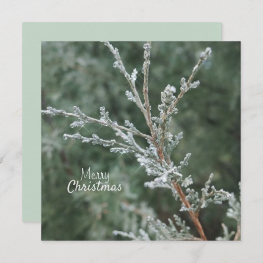 Vrolijk kerstfeest Frosty Evergreen Branch Feestdagenkaart (Voorkant / Achterkant)