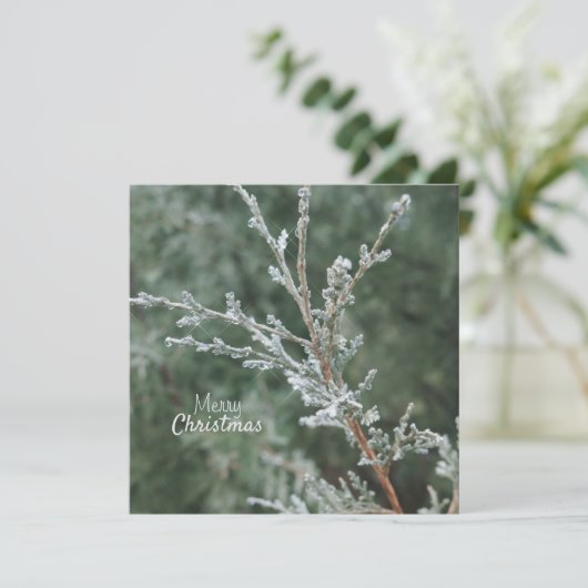 Vrolijk kerstfeest Frosty Evergreen Branch Feestdagenkaart (Staand voorkant)