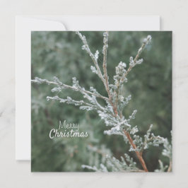 Vrolijk kerstfeest Frosty Evergreen Branch Feestdagenkaart