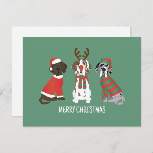 Vrolijk Kerstfeest Grote Deen Honden Briefkaart (Voorkant / Achterkant)