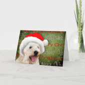 Vrolijk Kerstfeest - Hond in Santa Hat Feestdagen Kaart (Voorkant)