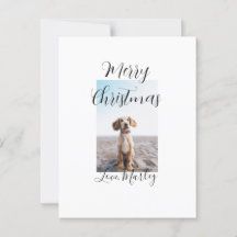 Vrolijk Kerstfeest hond kat foto vakantie cadeaus 