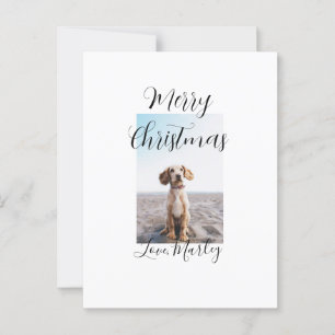 Vrolijk Kerstfeest hond kat foto vakantie cadeaus Briefkaart