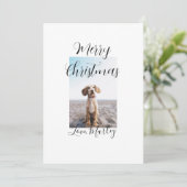 Vrolijk Kerstfeest hond kat foto vakantie cadeaus  Kaart (Staand voorkant)