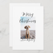 Vrolijk Kerstfeest hond kat foto vakantie cadeaus  Kaart (Voorkant / Achterkant)