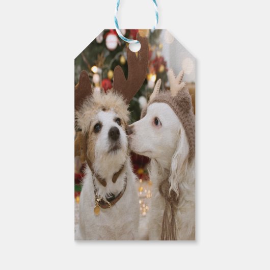 Vrolijk kerstfeest, honden in liefde cadeaulabel (Achterkant)