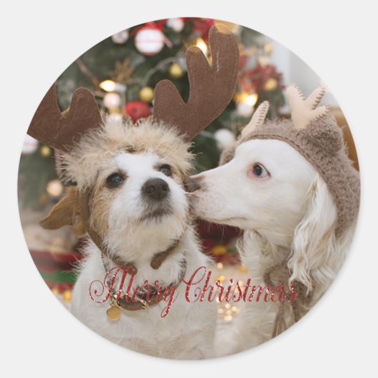 Vrolijk kerstfeest, honden in liefde ronde sticker (Voorkant)