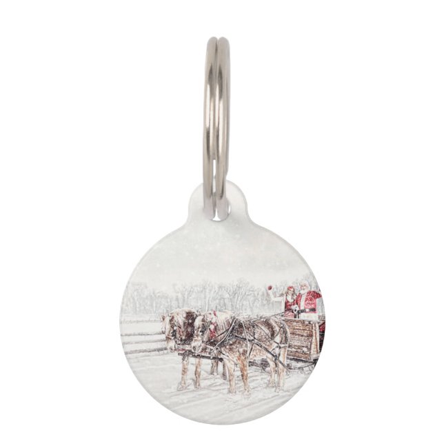 Vrolijk kerstfeest huisdierpenning (Voorkant)