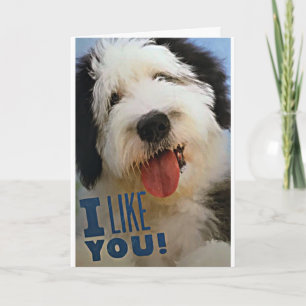 ***VROLIJK KERSTFEEST***** IK HOU VAN JE*** & **IK KAART