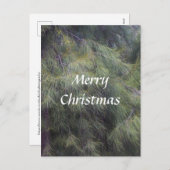 Vrolijk kerstfeest in de Pines Feestdagenkaart (Voorkant / Achterkant)