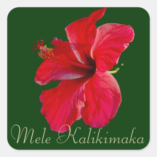 Vrolijk kerstfeest in Hawaï Mele Kalikimaka Vierkante Sticker (Voorkant)