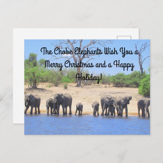 Vrolijk kerstfeest in het Chobe Elephants Briefkaa Feestdagenkaart (Voorkant / Achterkant)