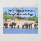 Vrolijk kerstfeest in het Chobe Elephants Briefkaa Feestdagenkaart (Voorkant)