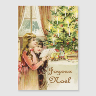 Vrolijk kerstfeest in het Frans