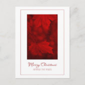 Vrolijk kerstfeest in het Miles Briefkaart (Voorkant)