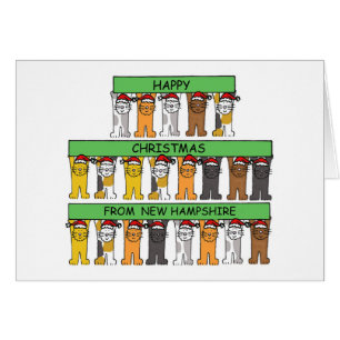 Vrolijk kerstfeest in New Hampshire Cute Cats