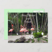 Vrolijk kerstfeest in Orlando - Roze flamingos Feestdagenkaart (Voorkant / Achterkant)