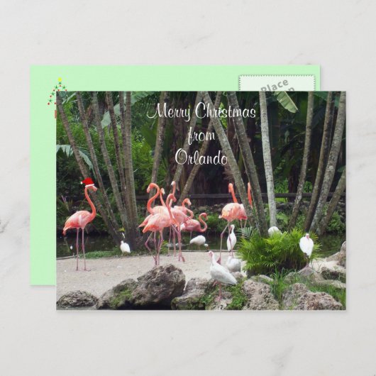 Vrolijk kerstfeest in Orlando - Roze flamingos Feestdagenkaart (Voorkant / Achterkant)