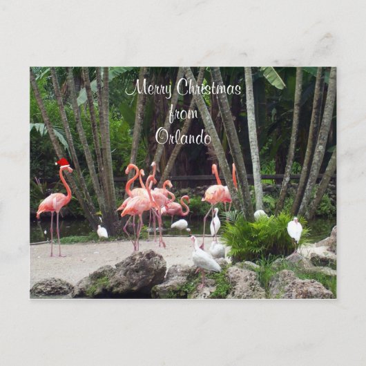 Vrolijk kerstfeest in Orlando - Roze flamingos Feestdagenkaart (Voorkant)