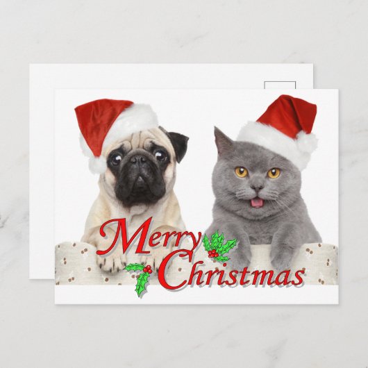 Vrolijk kerstfeest in Santa Cat en Dog Briefkaart (Voorkant / Achterkant)