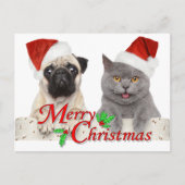 Vrolijk kerstfeest in Santa Cat en Dog Briefkaart (Voorkant)