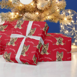 Vrolijk kerstfeest in Yorkshire Terrier on Red Cadeaupapier