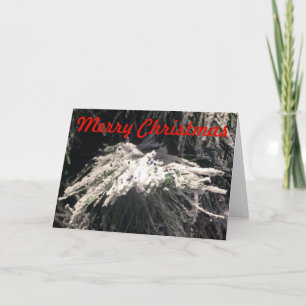 Vrolijk kerstfeest, kaart