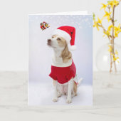 Vrolijk kerstfeest. kaart (Gele Bloem)