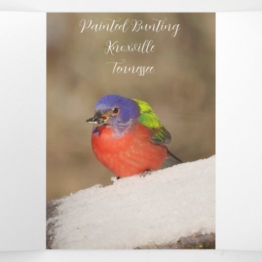 "Vrolijk kerstfeest" Kaart met kardinaal (Binnenkant midden)