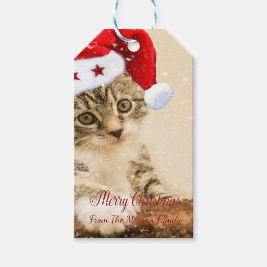 Vrolijk kerstfeest, kat met Santa Hat Cadeaulabel (Voorkant)